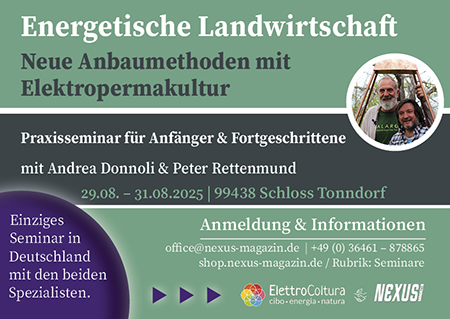 Donnoli - Elektrokultur - Seminar 2025 - In Content