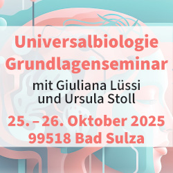 Universal Grundlagen mockup