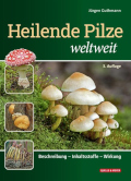 heilende pilze