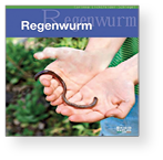 Regenwurm